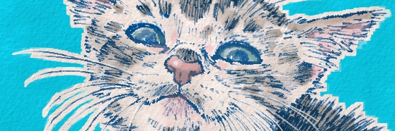CatCuts✴︎描き猫✴︎'s banner
