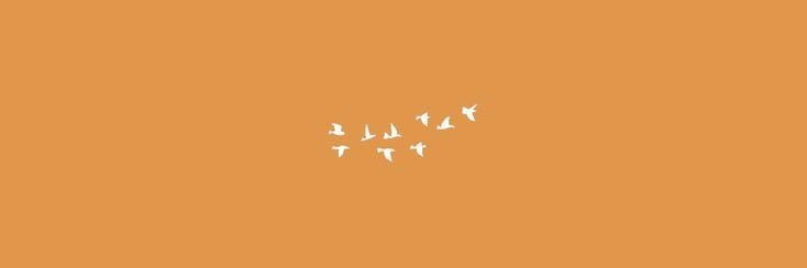 vale ✨'s banner