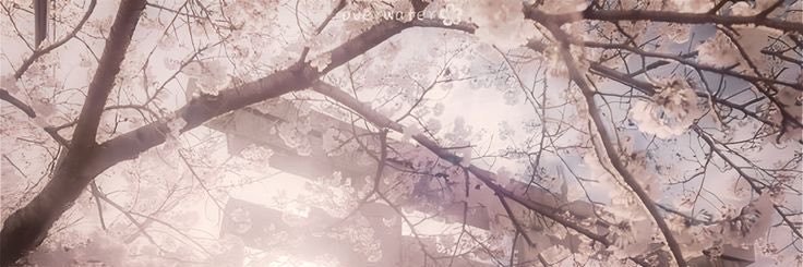 pαrisྀིྀིྀིྀིྀིྀིྀིྀི's banner