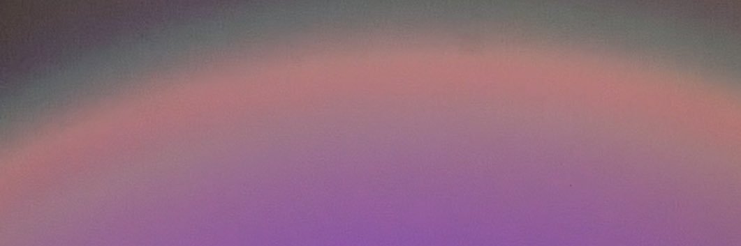 dimdim's banner