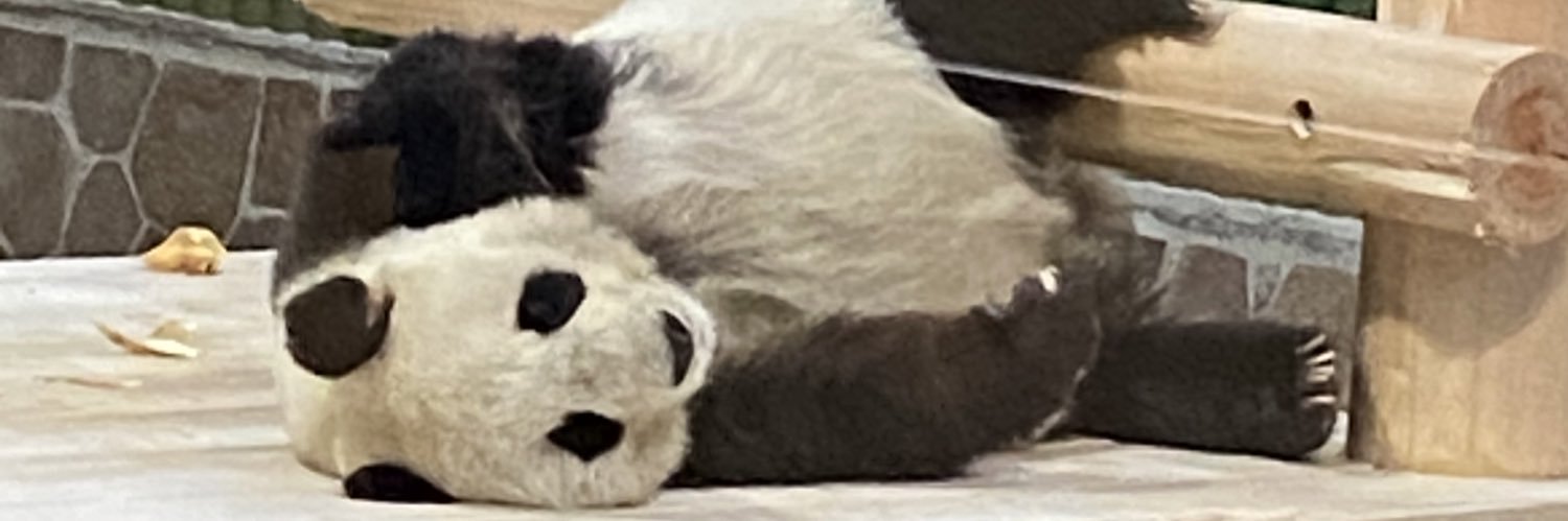 あこぱぱん's banner