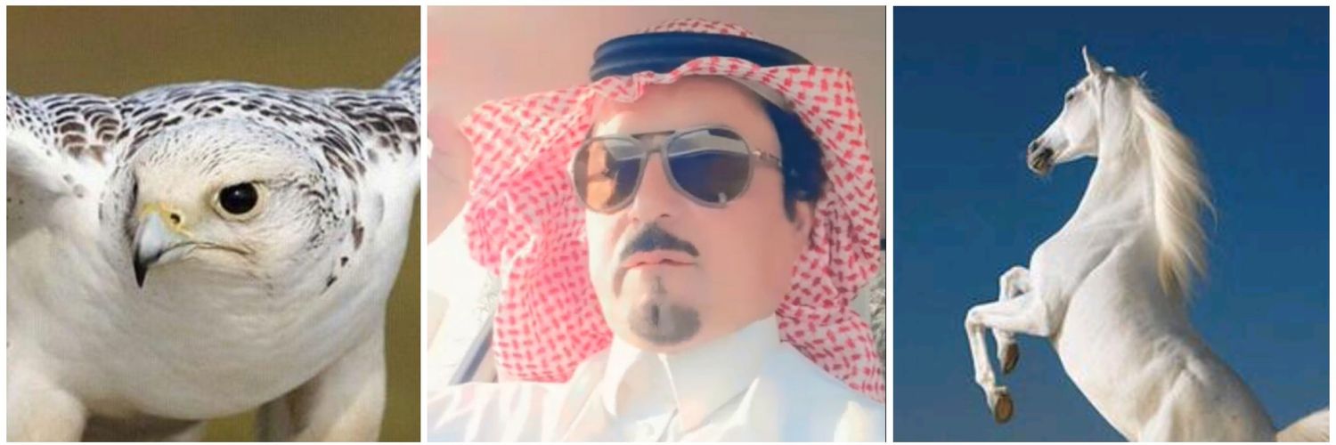 عبدالعزيز العويرضي التميمي's banner