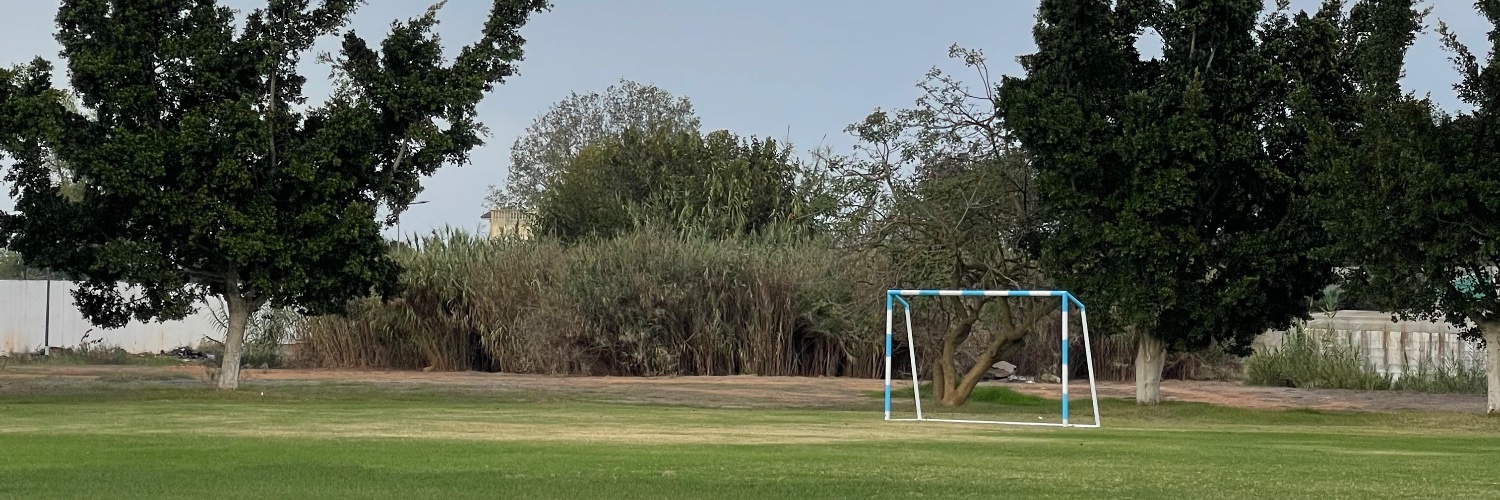 Mohamed Ghonemi's banner