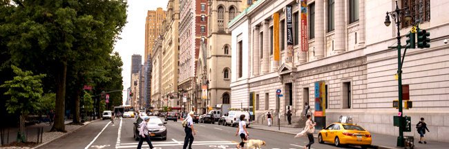 Olivia Rubin's banner