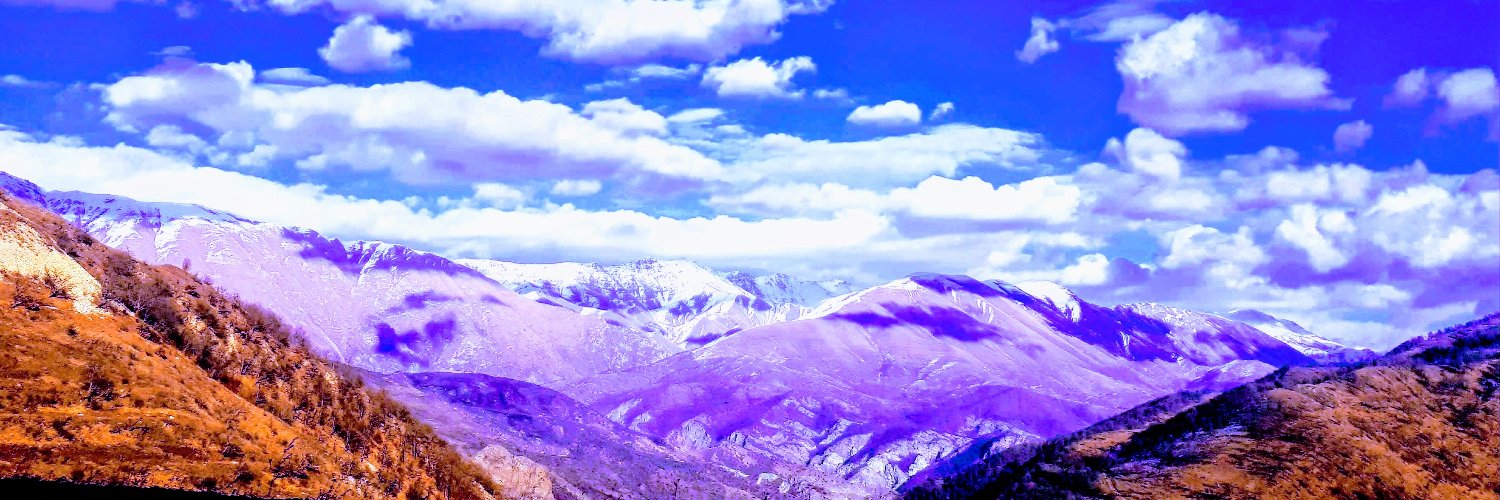 Tatevik Hayrapetyan's banner