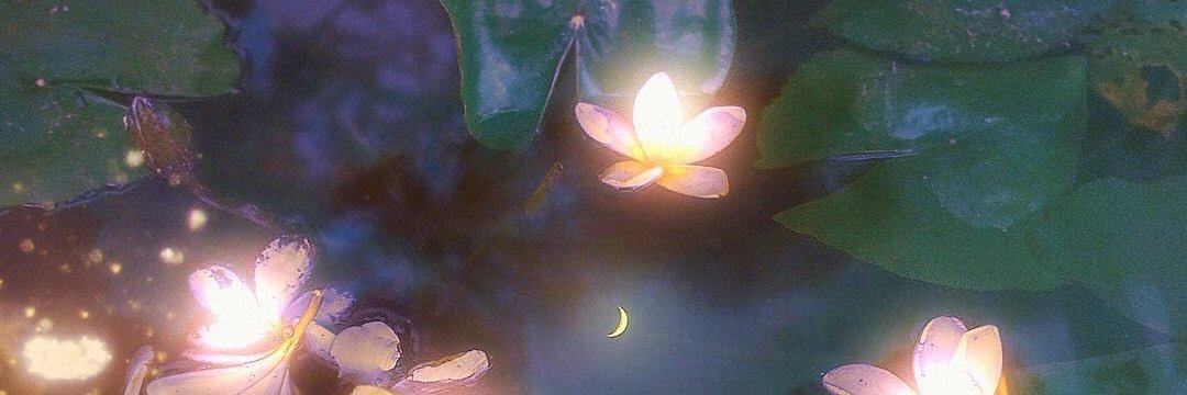 peachesxt's banner