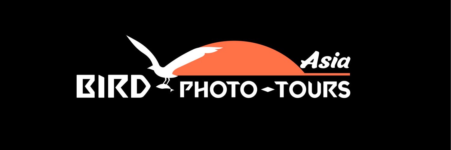 Bird-Photo-Tours ASIA's banner
