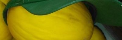 Rádio Mellão's banner