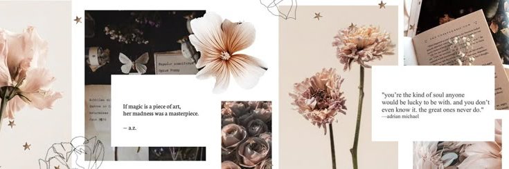 Vine.'s banner
