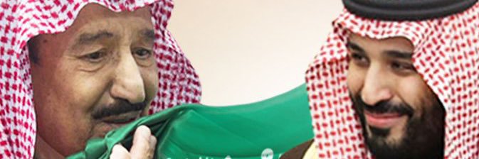 Dr. Zainab Alawi د. زينب العلوي's banner
