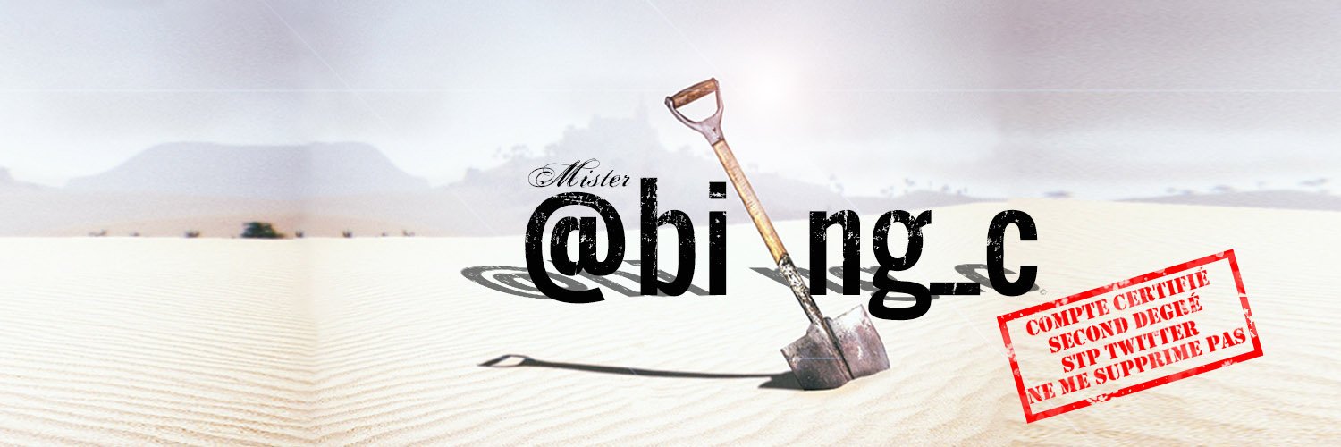 Mister Biing_© (parodie)'s banner