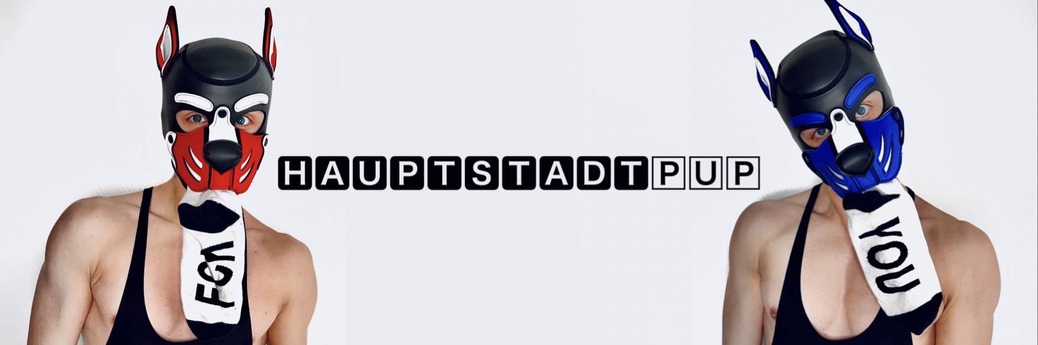 Hauptstadtpup's banner