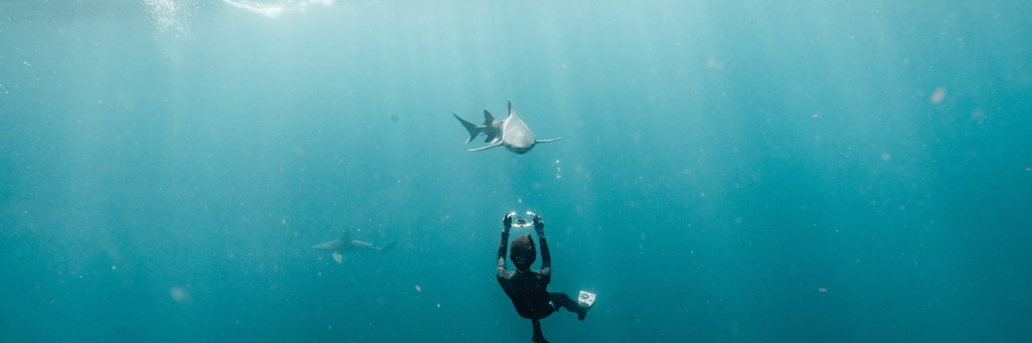 spencer 🦈's banner