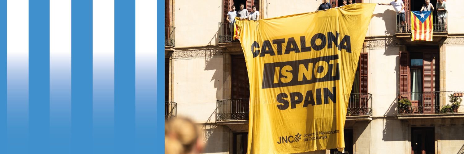 Joventut Nacionalista de Catalunya's banner