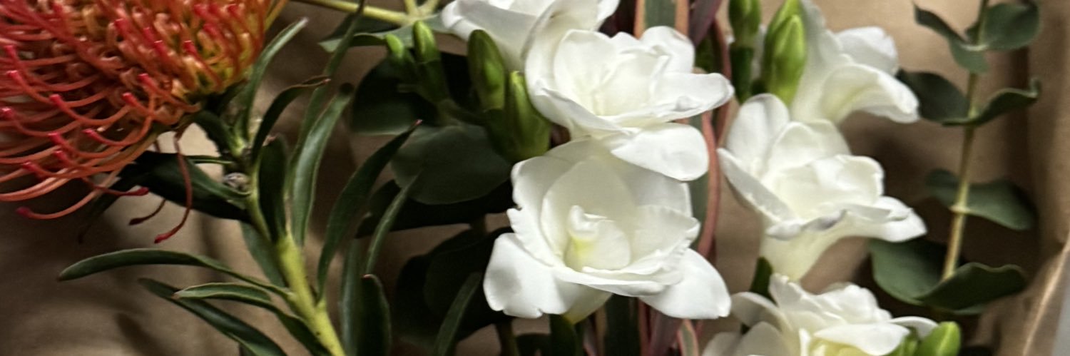 Shapka's banner