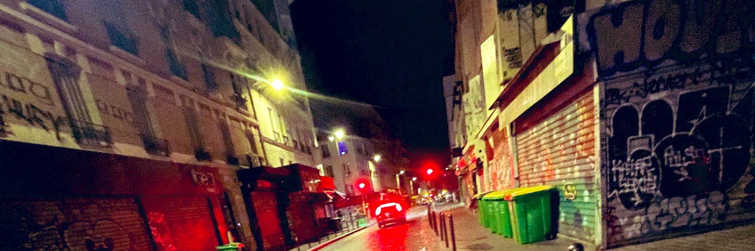🕸️🇩🇿's banner
