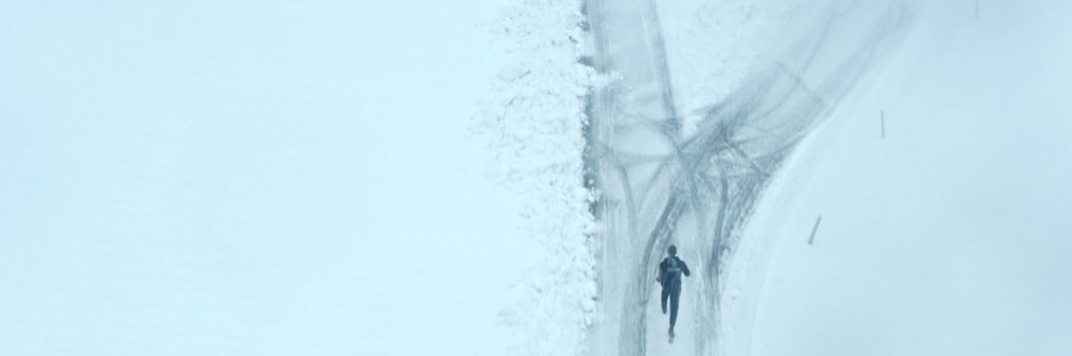Борис Золотаревский's banner