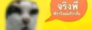 หำขาด❤️‍🔥🔞's banner