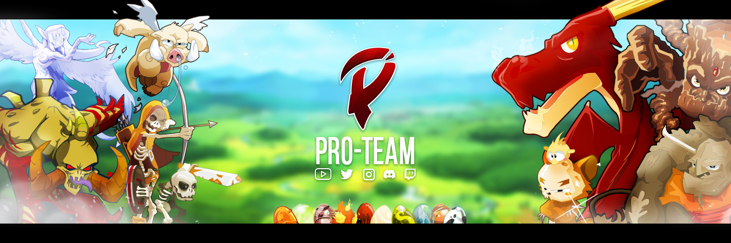 Pro Team's banner