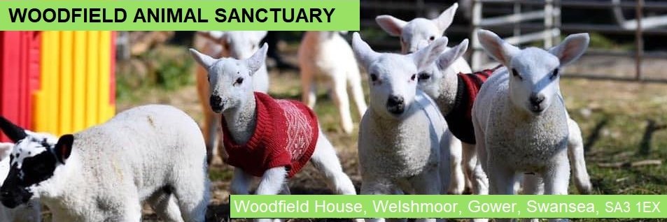Woodfield Animal Sanctuary's banner