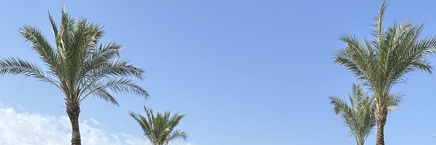 Ali's banner