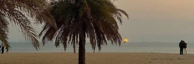 白日梦想家's banner