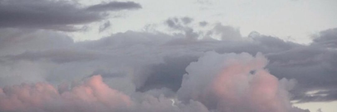 غيم❀'s banner