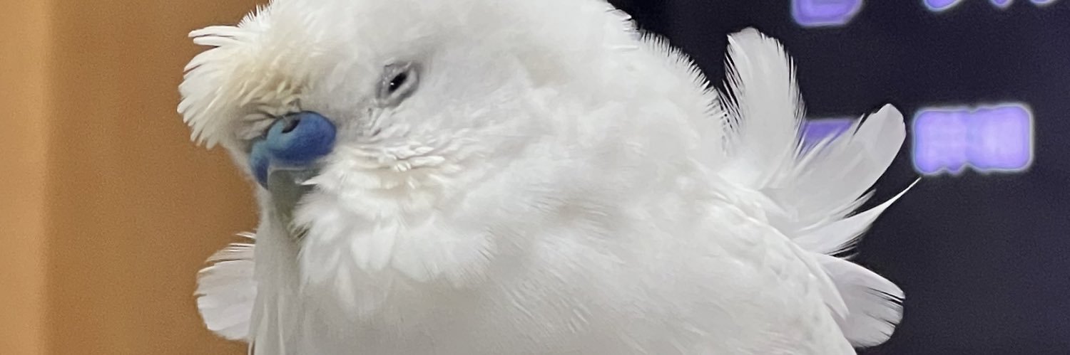 小山璃奈's banner