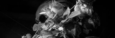 fewtoxicbaby's banner