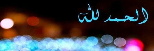 سلمى Dz's banner