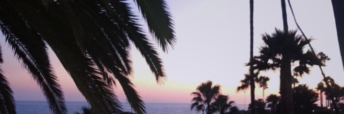 نتالين البكيري's banner