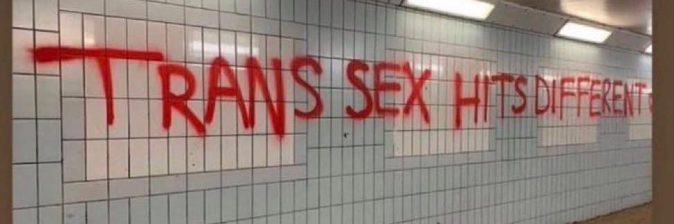 Erotica Vanderlei's banner