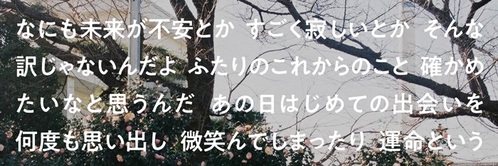 Sakurashimeji 公式裏垢。（本人）'s banner