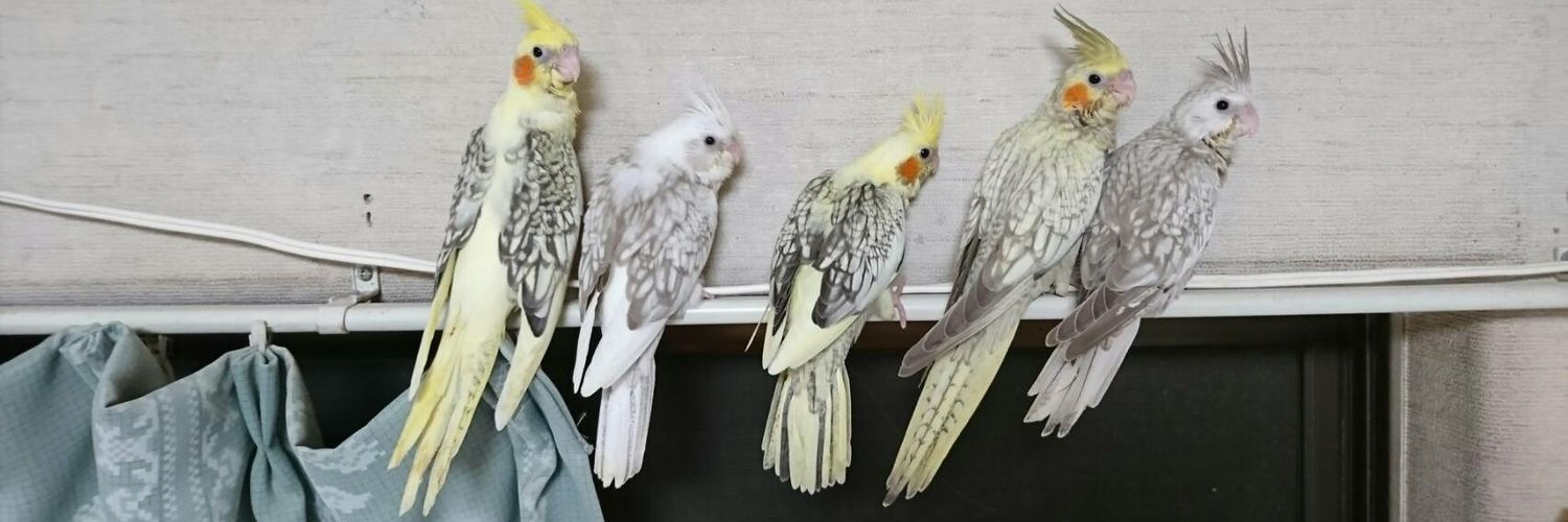埼玉県ペットショップハピネス 小鳥 小動物's banner