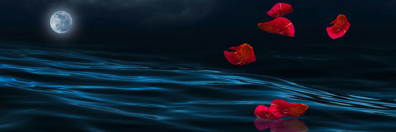 Shopno Choya's banner
