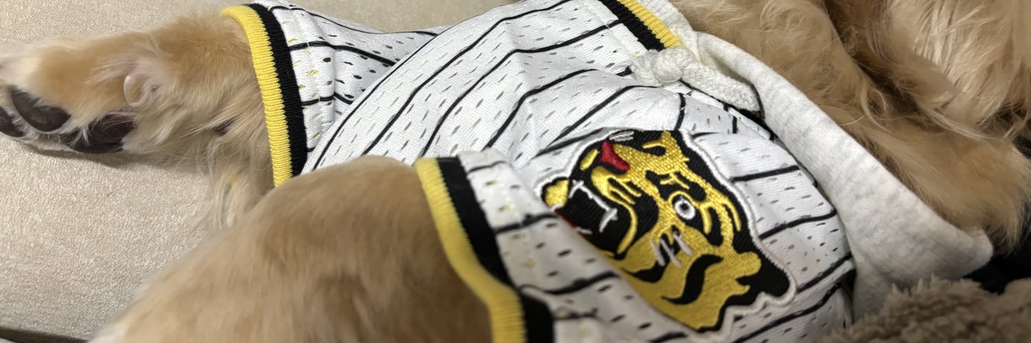 も よ's banner