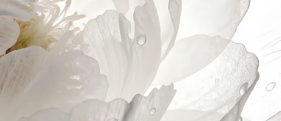 水冰月's banner