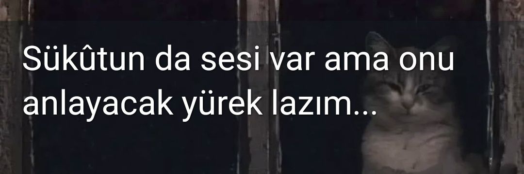 BerlinMuhtarıMusti's banner