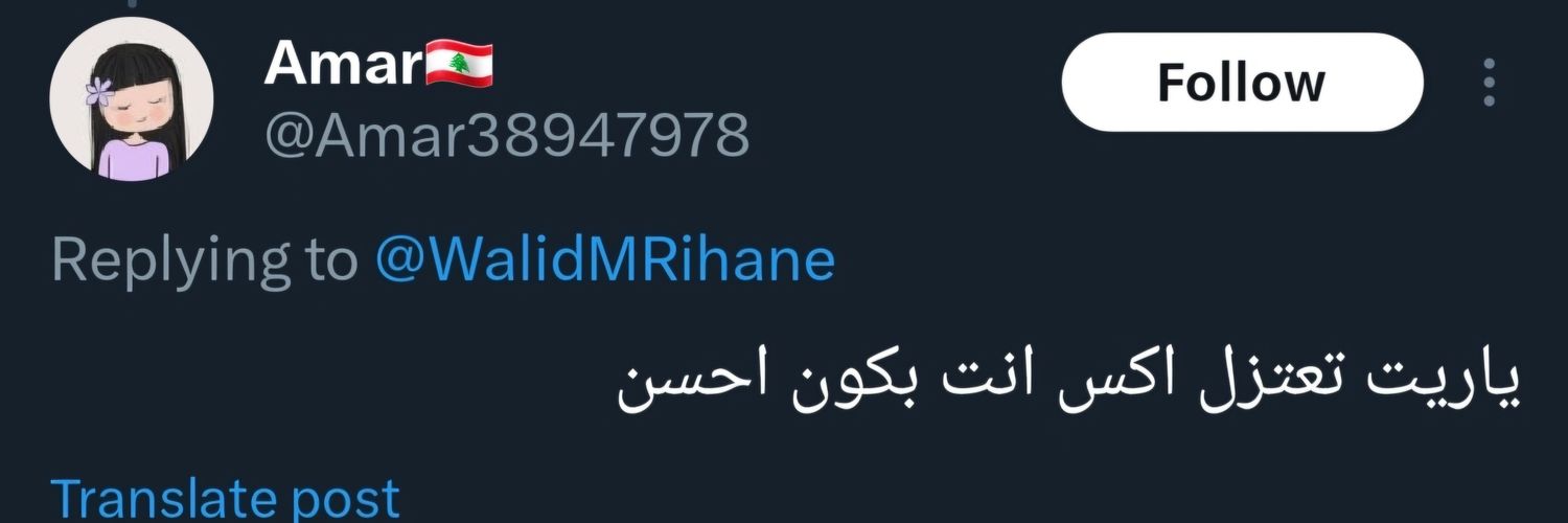 Walid M Rihane 🇱🇧's banner