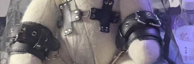 专属美丝 丝袜SM 摄影调教 心理's banner
