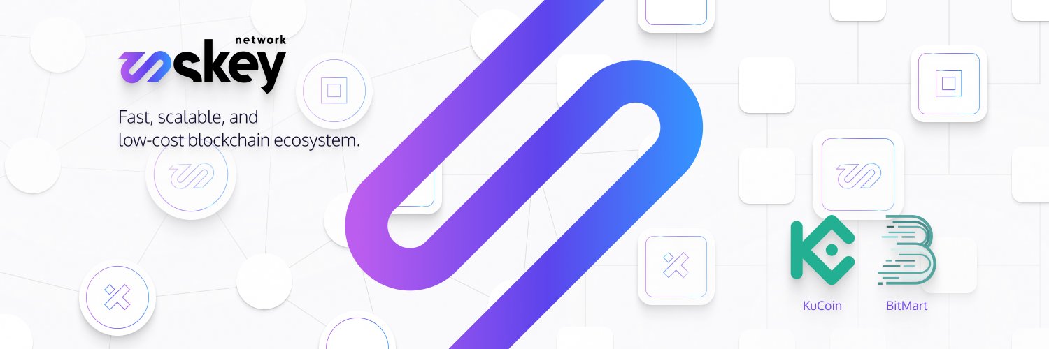 Skey Network's banner