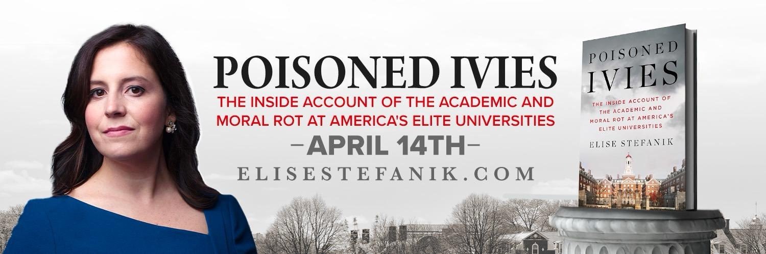Elise Stefanik's banner