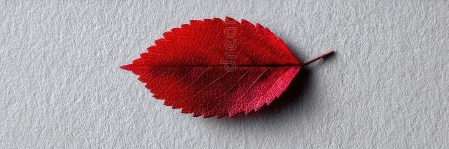 ليلااااااا's banner