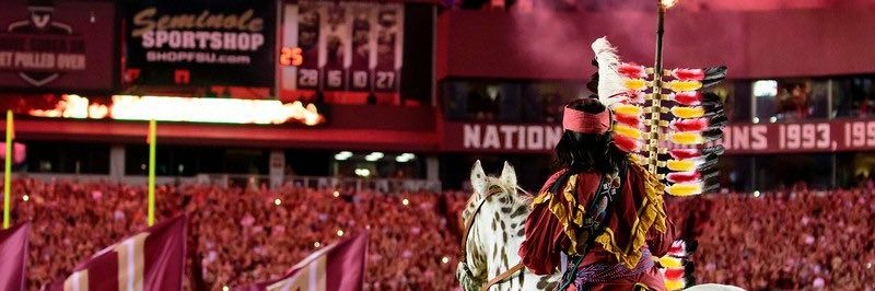 Chief Nole's banner