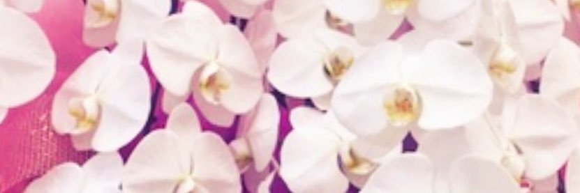 有澤ゆま　吹田市議会議員's banner