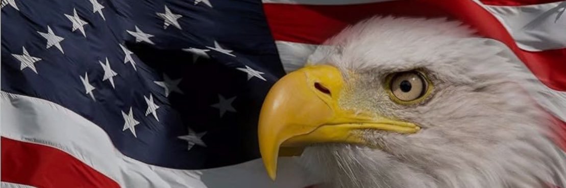 1776Forever❤️🇺🇸's banner
