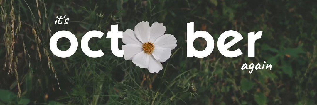 opt/d's banner