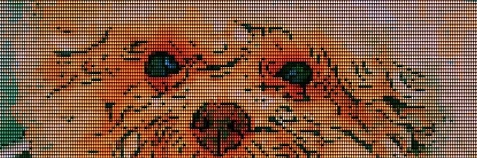 Caramel Macchiato🌻's banner