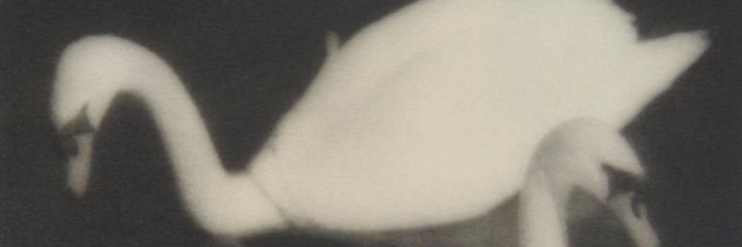 Diamond's banner