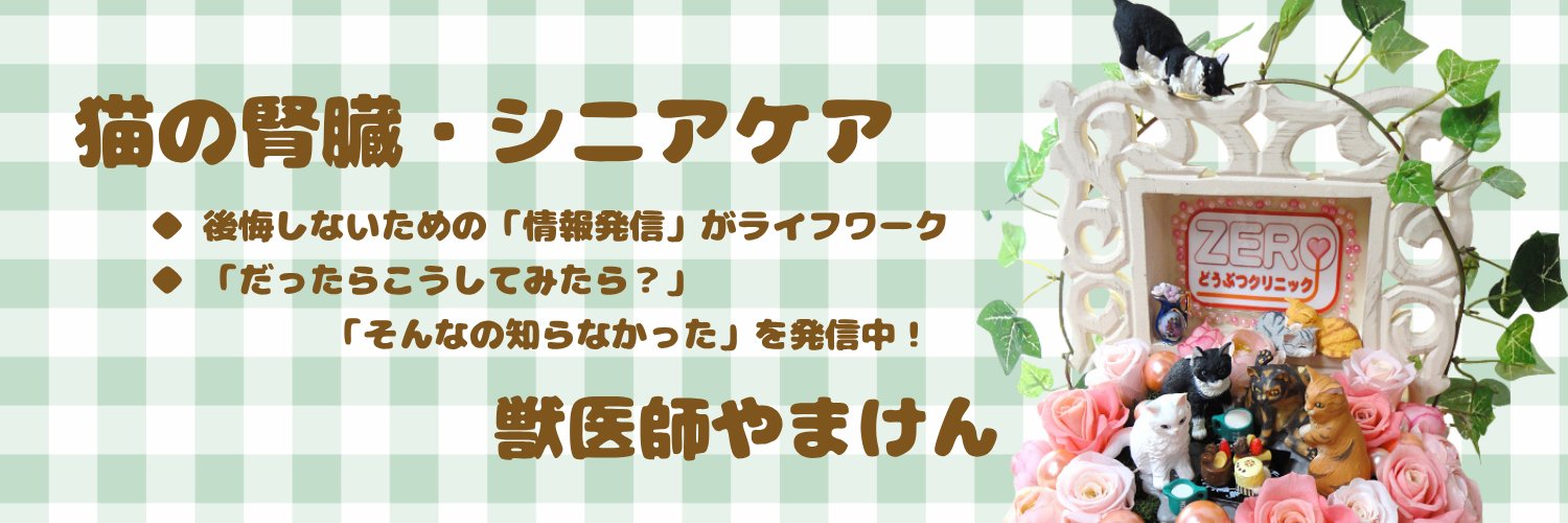 獣医師 やまけん（山本 健二）｜老猫・高齢猫ケアのサポーター｜後悔しない選択を一緒に考える's banner